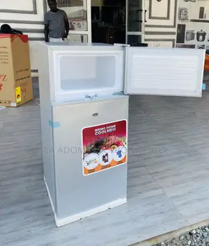 Shop Original Zara 12TM Double Door Electric Fridge.