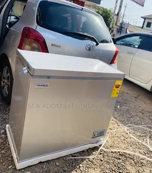 Fabulous Nasco Single Door Chest Freezer Nas -250fl(Gray).