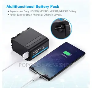 NP-F980 Video Light Battery