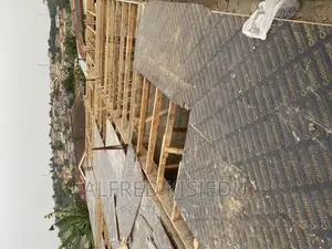 Wood Plywood and Bamboos for Rent