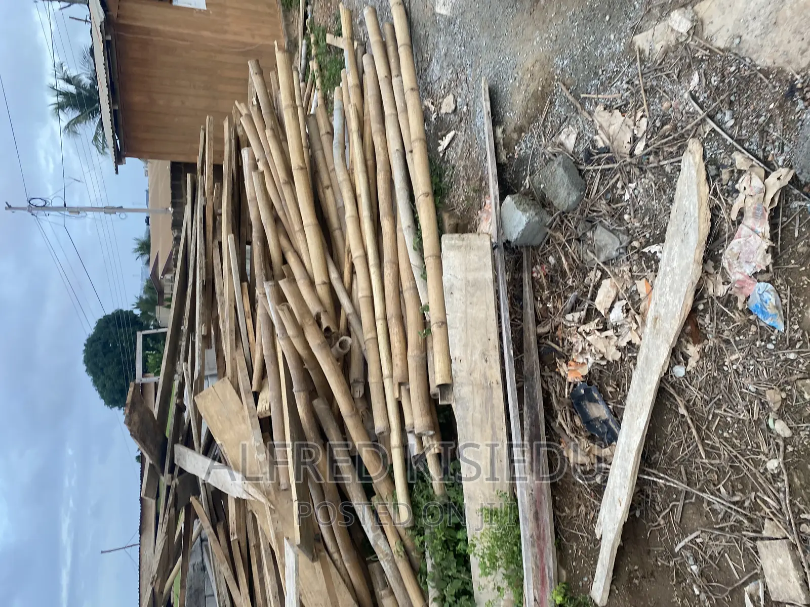 Wood Plywood and Bamboos for Rent