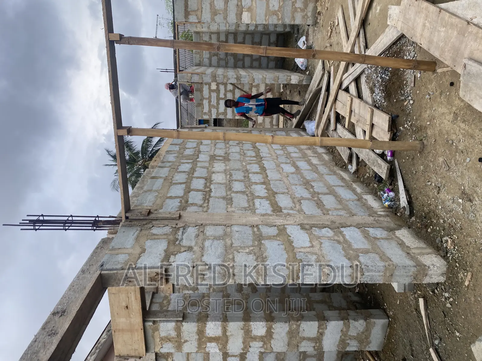 Wood Plywood and Bamboos for Rent