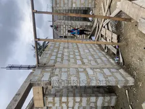Wood Plywood and Bamboos for Rent