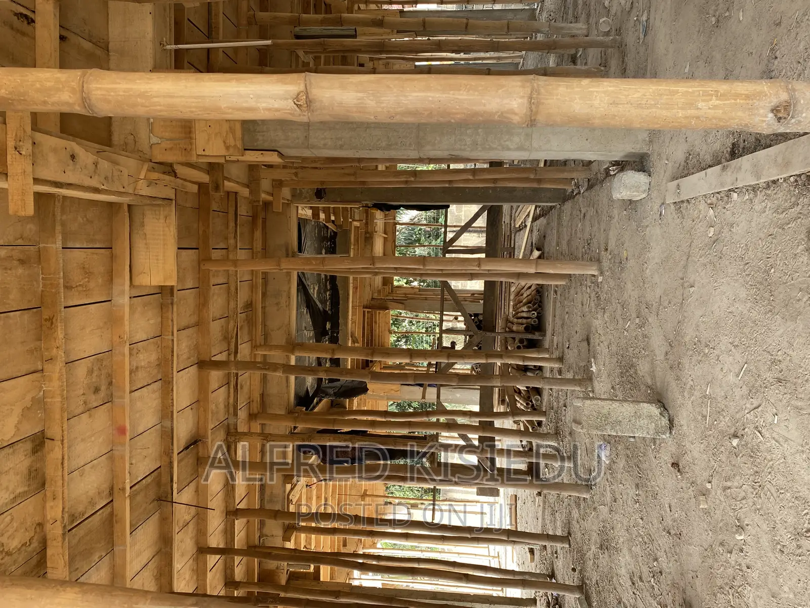 Wood Plywood and Bamboos for Rent