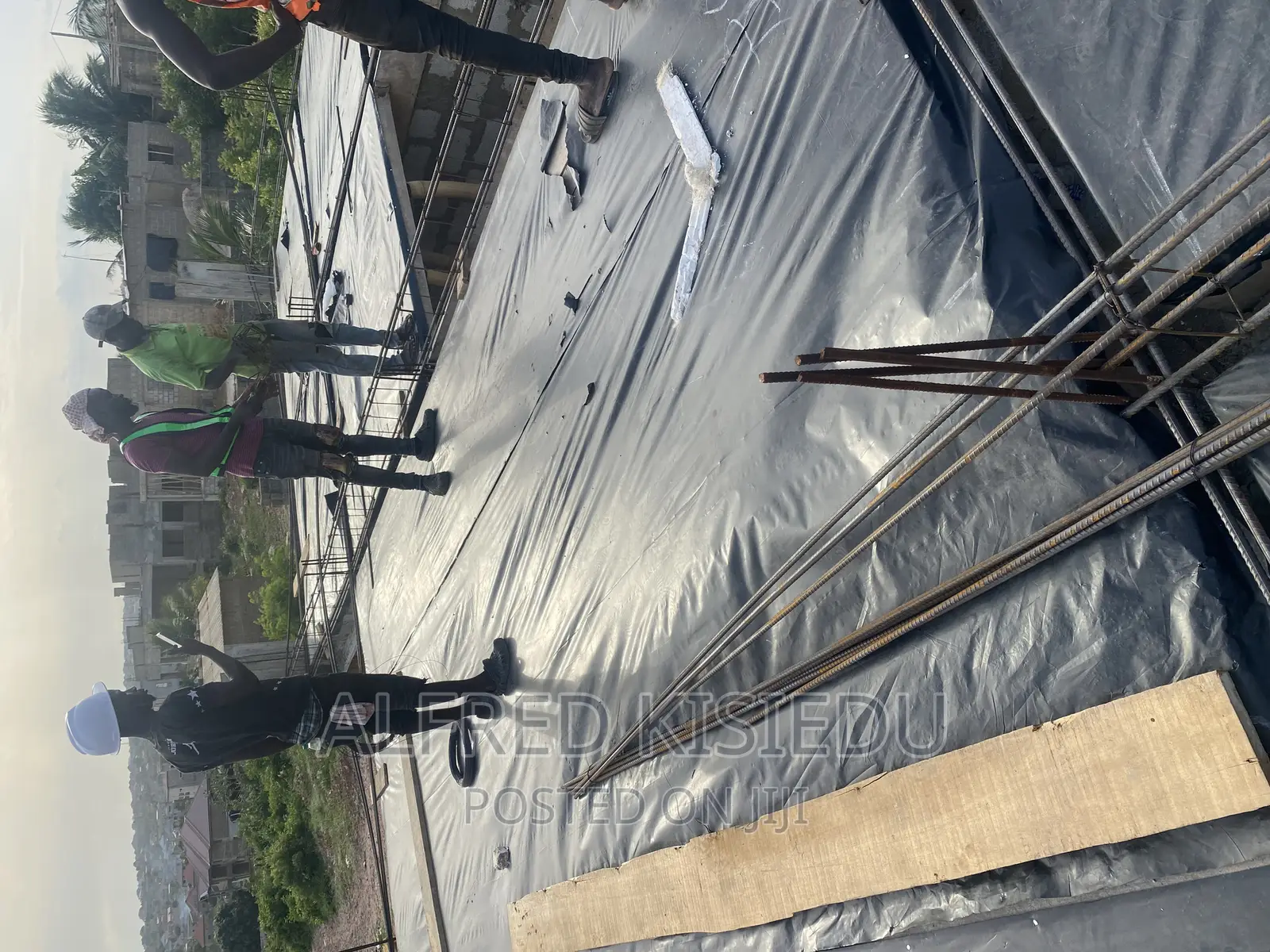 Wood Plywood and Bamboos for Rent