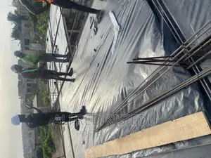 Wood Plywood and Bamboos for Rent
