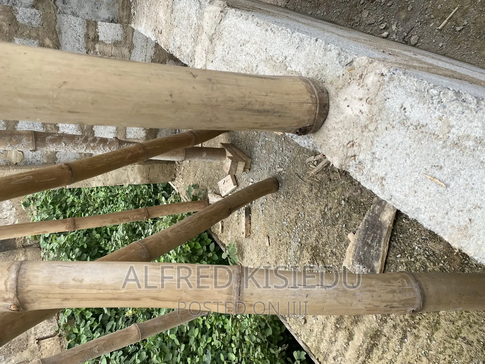 Wood Plywood and Bamboos for Rent