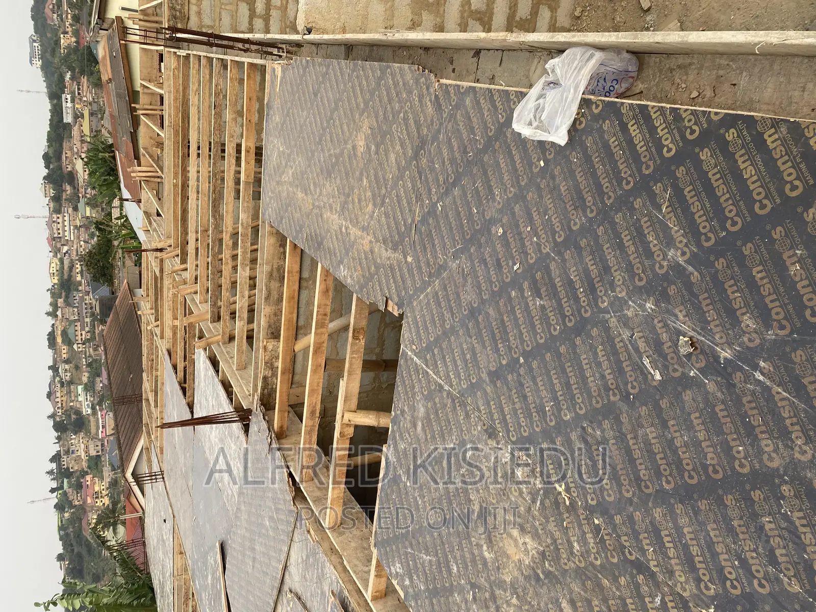 Wood Plywood and Bamboos for Rent