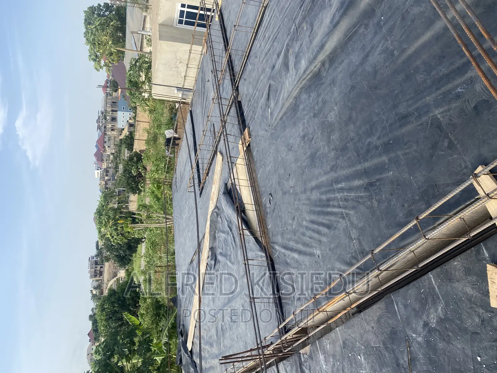 Wood Plywood and Bamboos for Rent