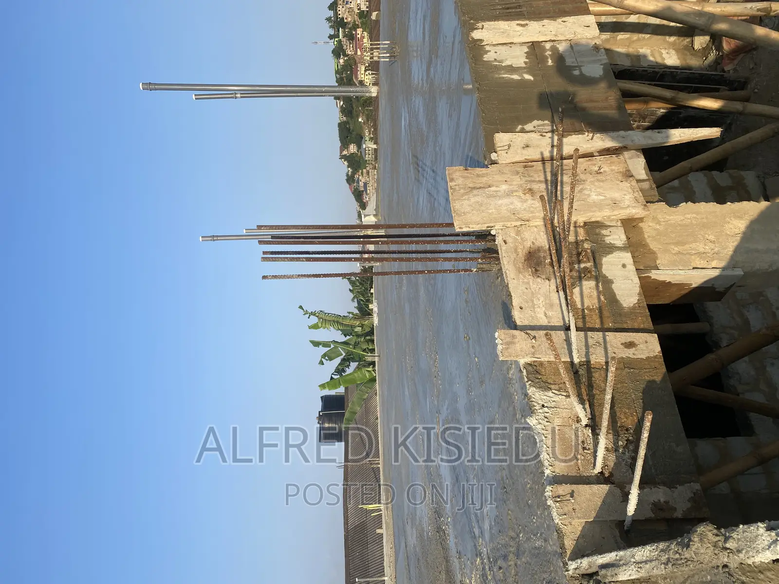 Wood Plywood and Bamboos for Rent
