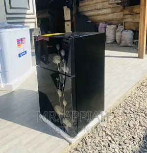 Shop Classic Pearl PF-10T 2 Door Electric Fridge(Black).