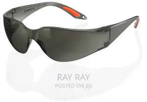 Beeswift Safety Spectacles