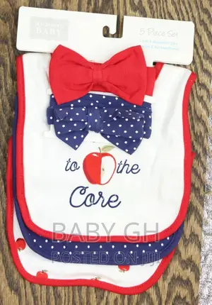 Hudson Baby 5 Piece Set. Three Bibs and 2 Headbands