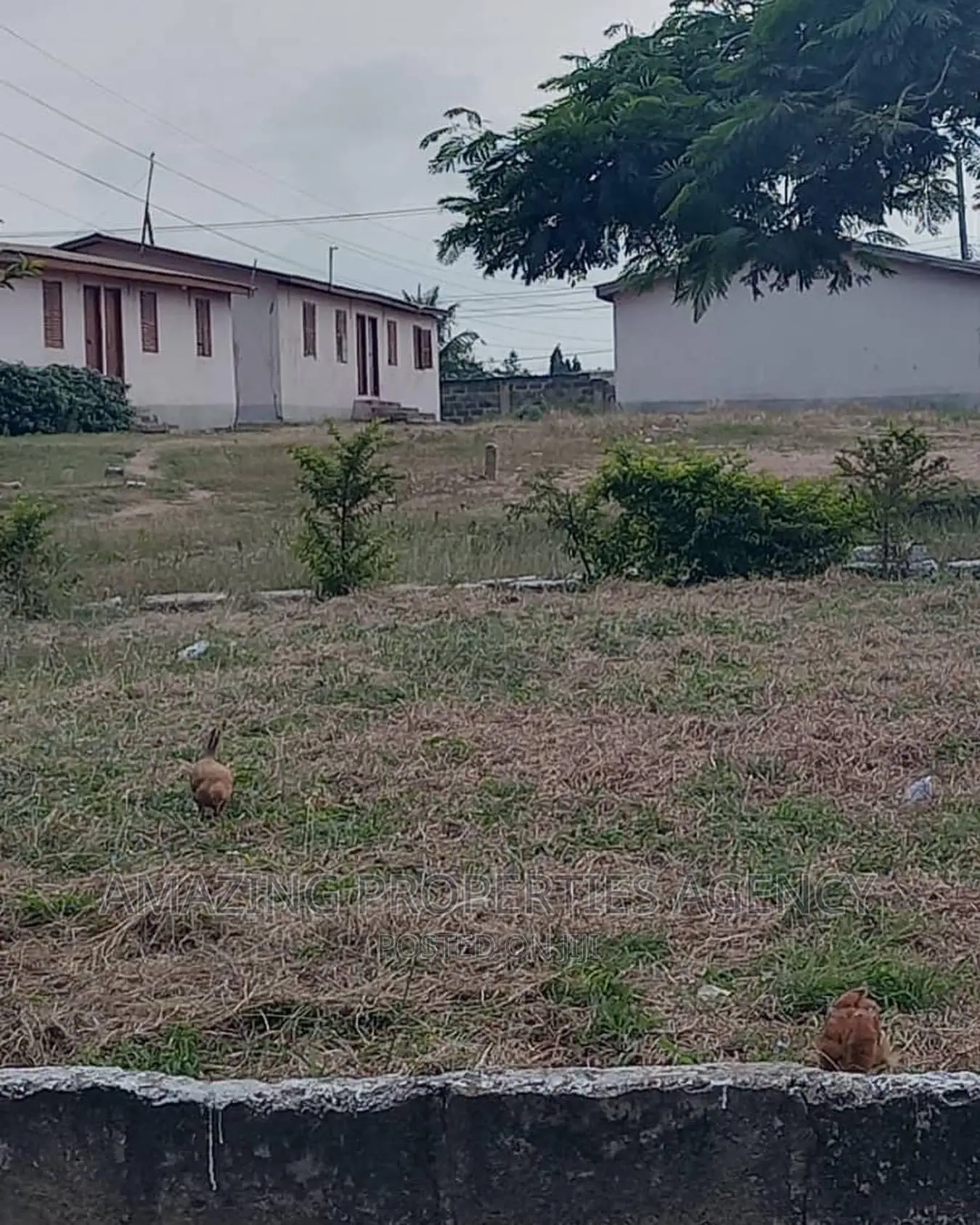 1) Land Size: 12 Plots; 2) Location: Sakaman