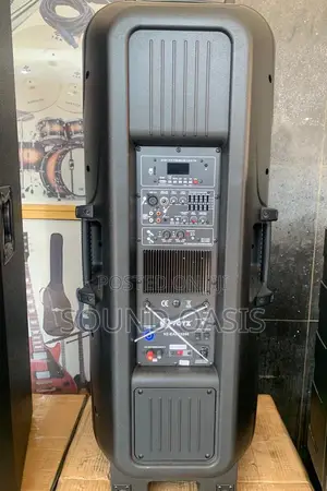 Voyz 2×15" Bluetooth Speaker System