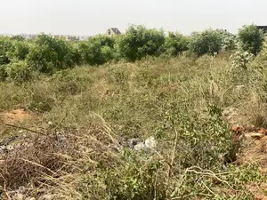 2 Plots of Land for Sale at Trasacco