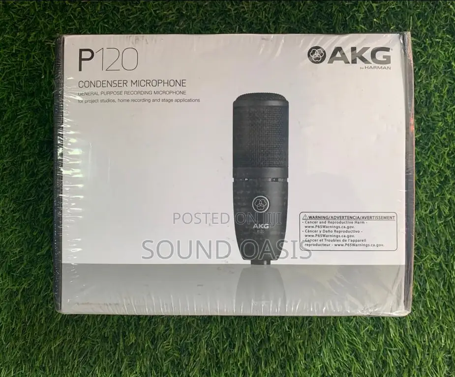 Akg P120 High-performance Recording Microphone