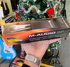 SP-2 Professional Piano Style Pedal