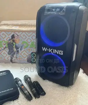 W-King T9II Bluetooth Karaoke Speaker – With 2 Microphones