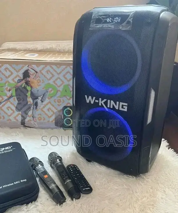 W-King T9II Bluetooth Karaoke Speaker – With 2 Microphones