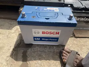 Bosch 17 Plate Battery