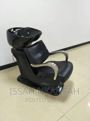 Salon Chair