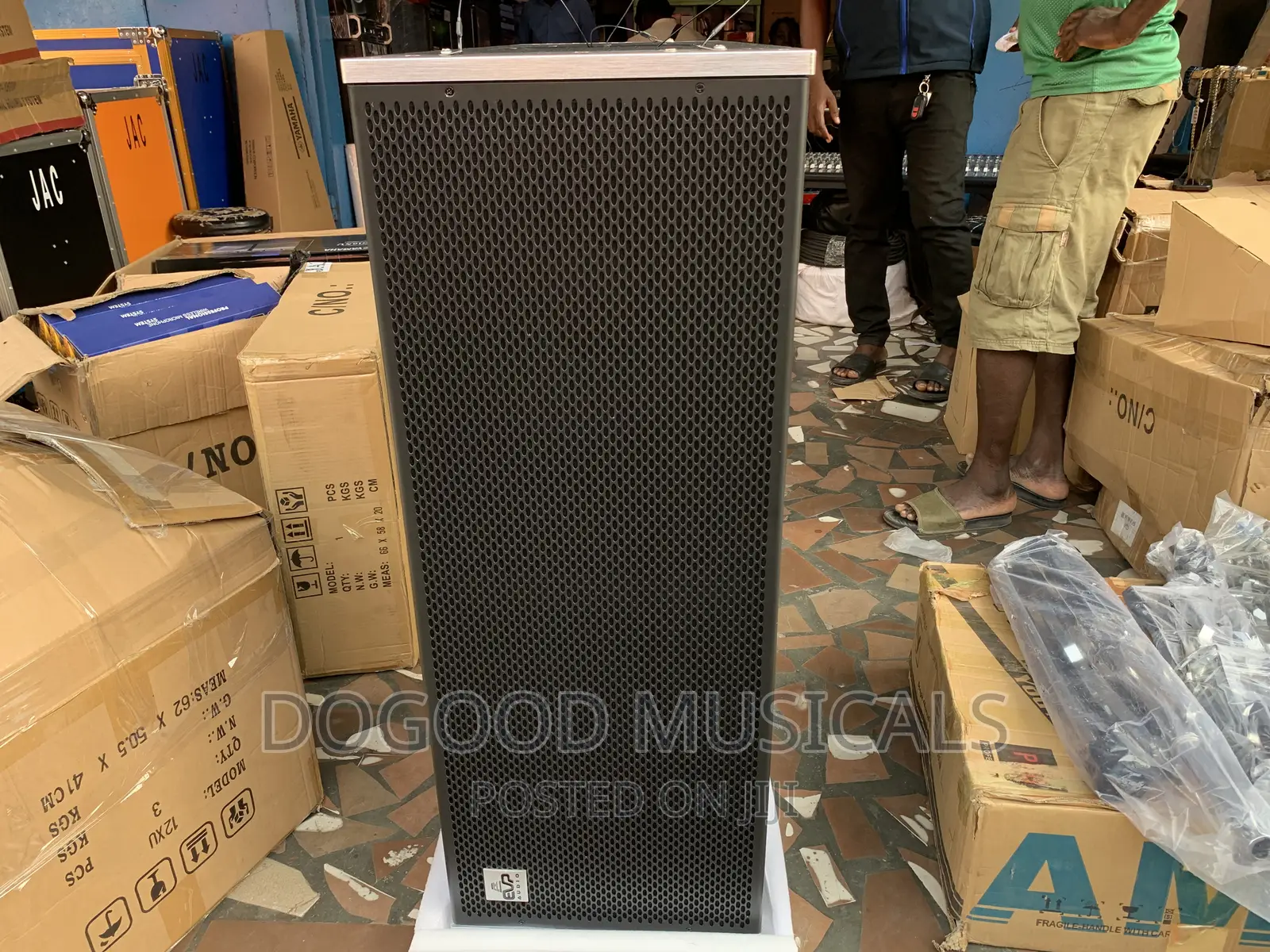 Evp Audio 12inch Line Array Speaker