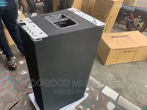 Evp Audio 12inch Line Array Speaker