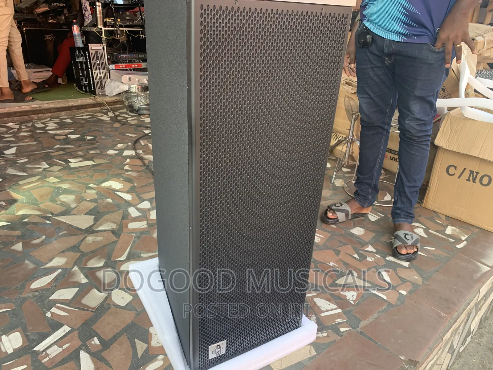 Evp Audio 12inch Line Array Speaker