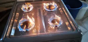 Gas Stove Ovens Home Repairs. (Read Feedback FRM Clients)