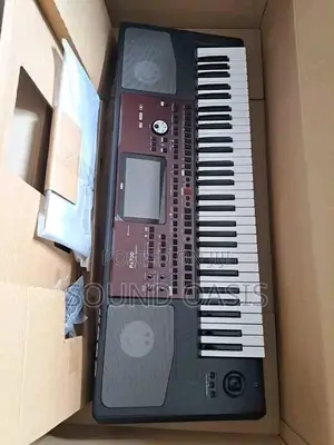 Korg PA 700 61-Key Arranger Keyboard