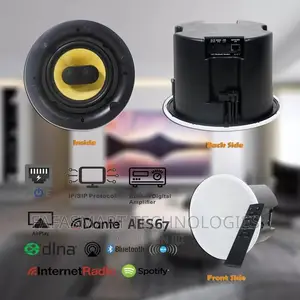 Wifi and Bluetooth Ceiling Speakers