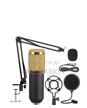Professional BM800 Studio Condenser Microphone.