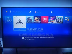 PS4 PS5 Personal Account Sharing