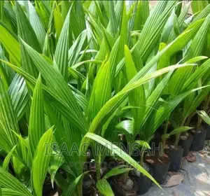 Do You Own a Farm in Gh or Are You Considering to Start One?