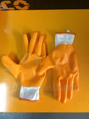 Nitrile Gloves Xl - Hgng01