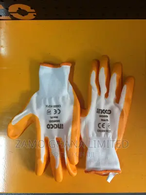 Nitrile Gloves Xl - Hgng01