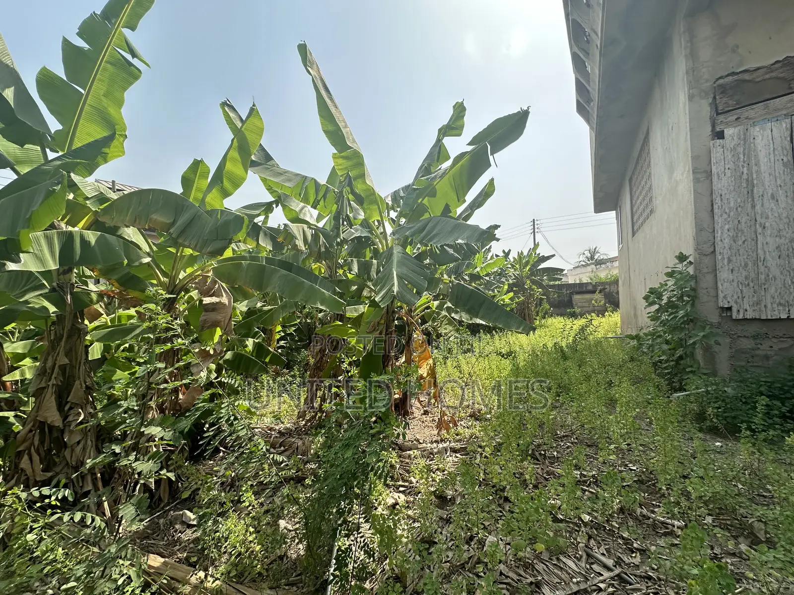 10bdrm House in Dome for sale