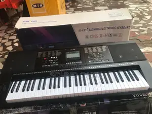 Electronic Keyboard PSR-493 61key (With Usb Music Player)