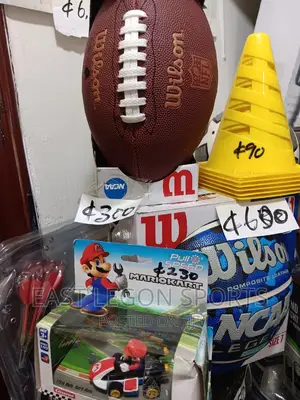 NFL Wilson Football Mini Junior Briwb