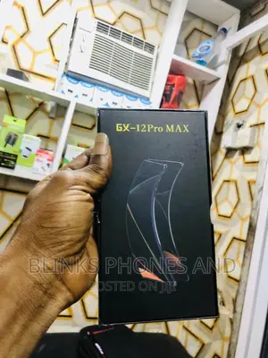 iPhone 12 Pro Max Screen