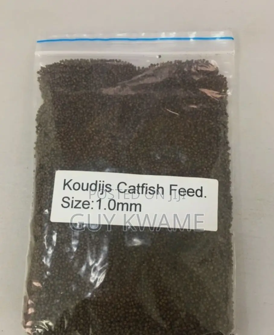 Koudijs Starter Feed for Catfish and Tilapia Fries