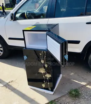 Energy Efficient Pearl PF-16T 2 Door Electric Fridge(Mirror)