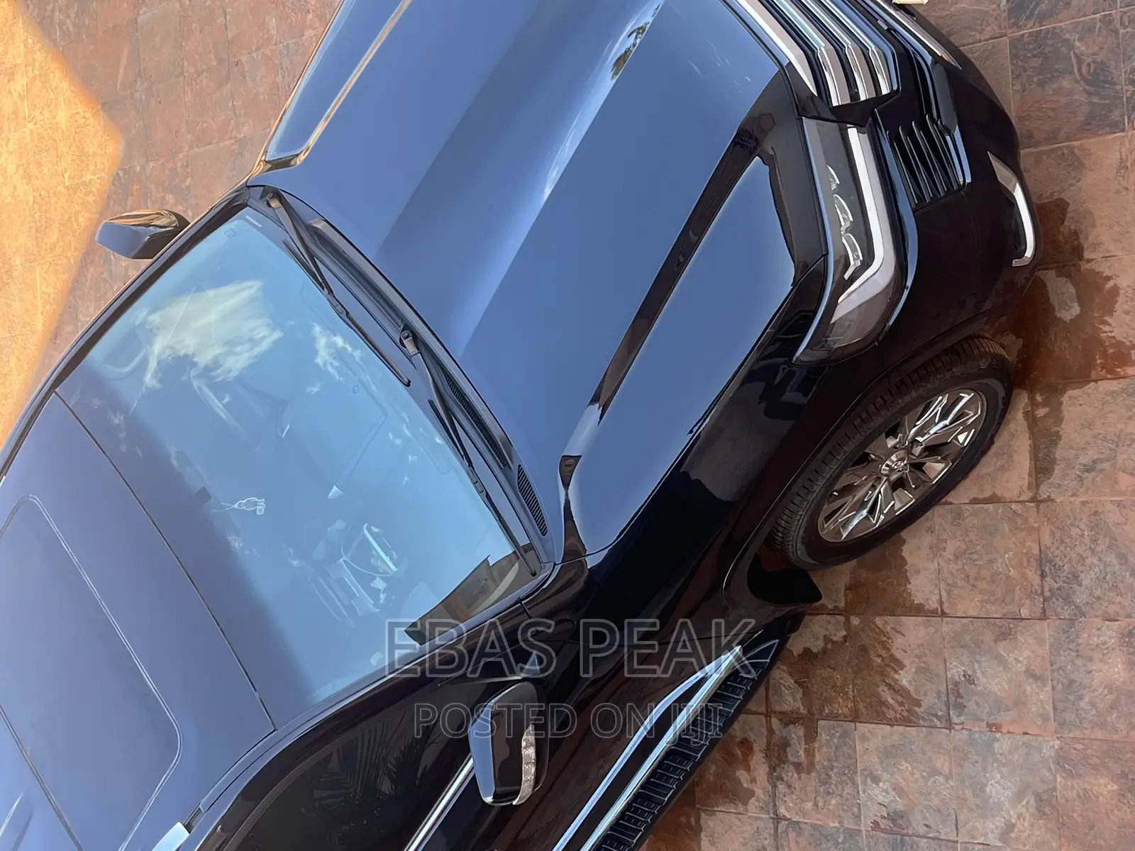 Solid and Reliable Cars for Rental
