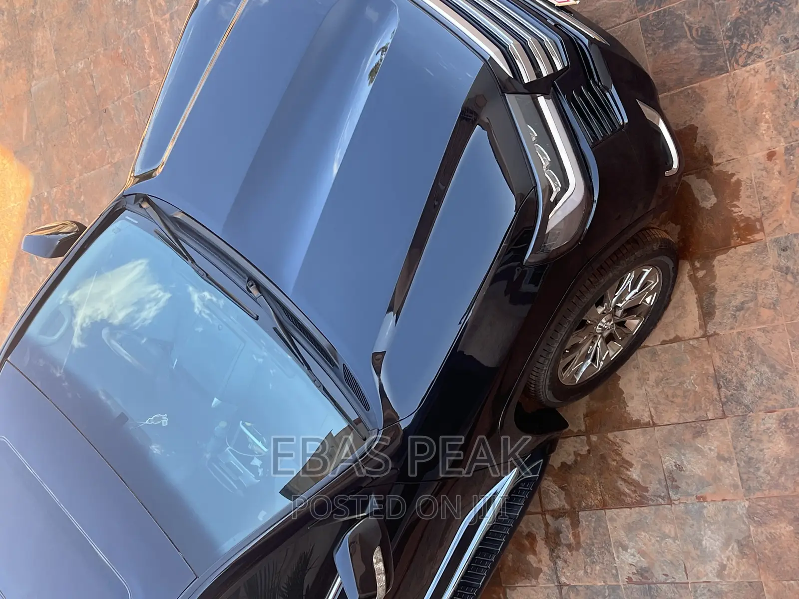 Solid and Reliable Cars for Rental