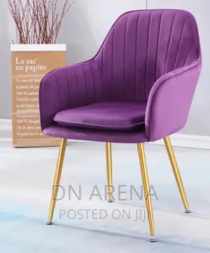 Beautiful Valvet Chair