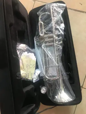 Titanic USA Silver Trumpet