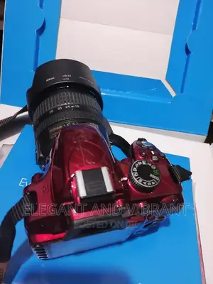 Nikon D3200 in Purple Colour Abroad Use Condition