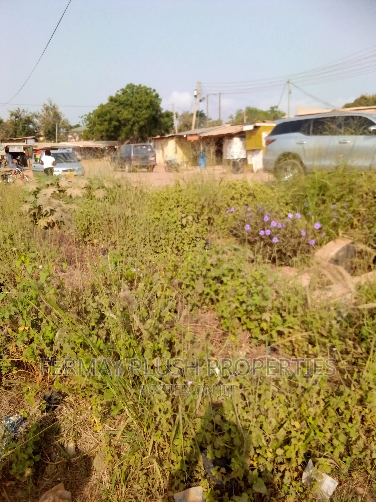 Road Side Land Title