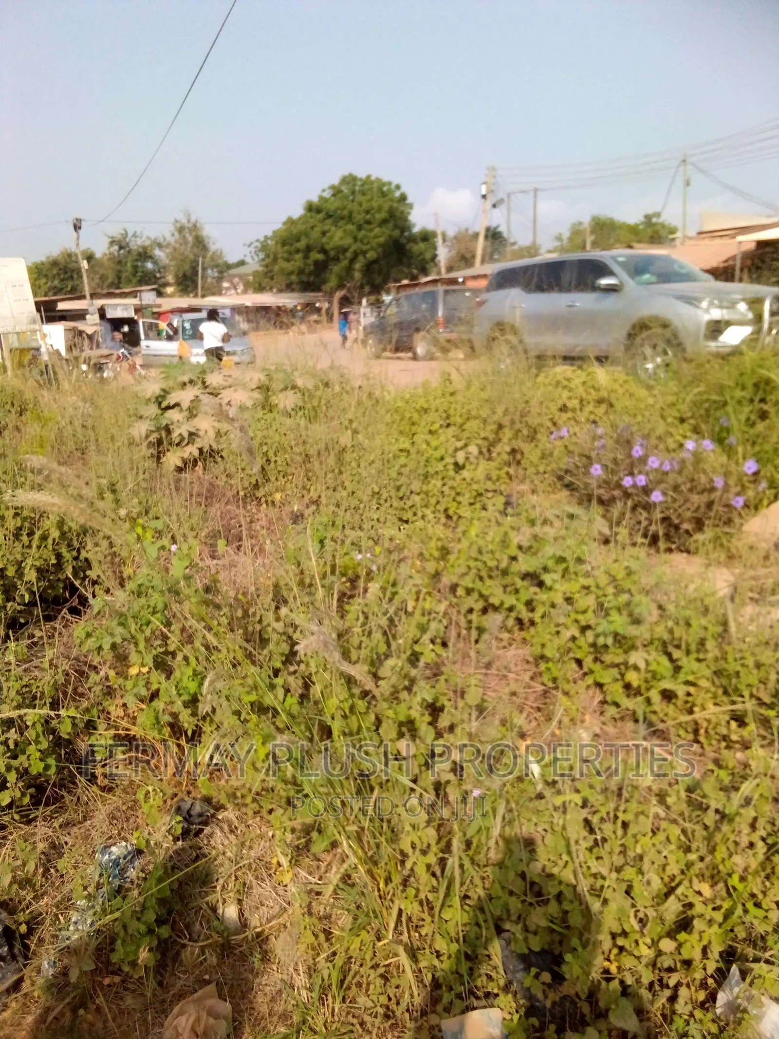 Road Side Land Title